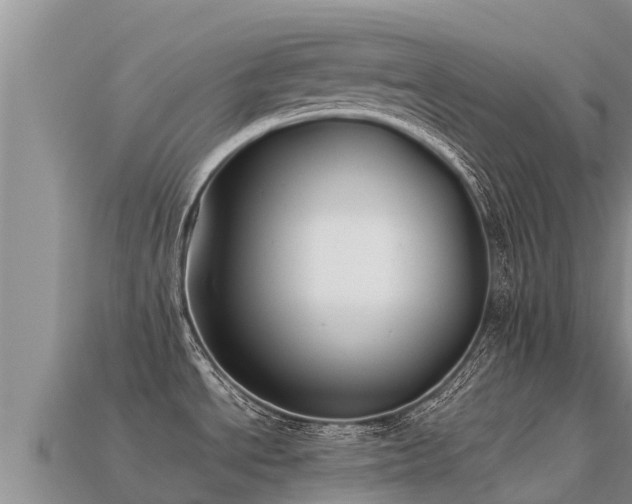 X0000113221534200909171544