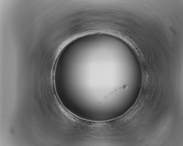 X0000113221535200909171544