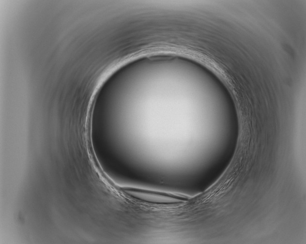 X0000113221536200909171544