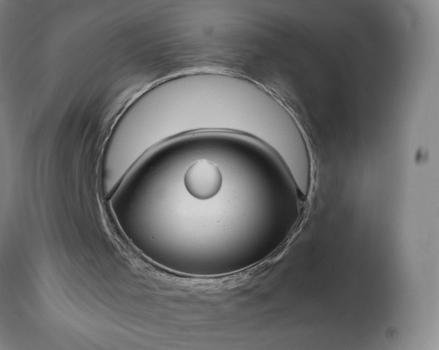 X0000113220001200909241458