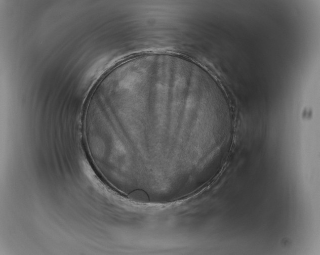 X0000113220002200909241458