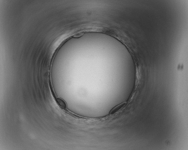 X0000113220003200909241458