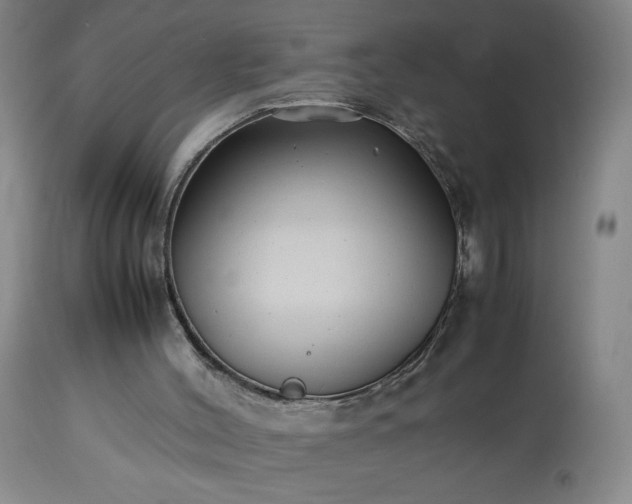 X0000113220004200909241458