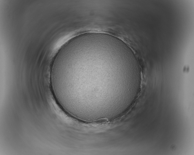 X0000113220005200909241458