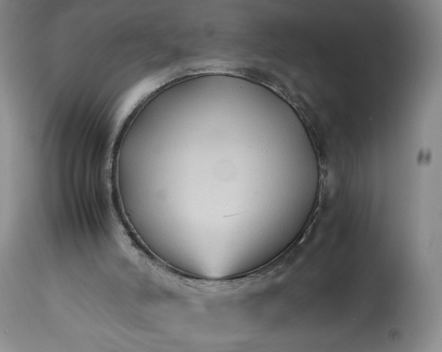 X0000113220006200909241458