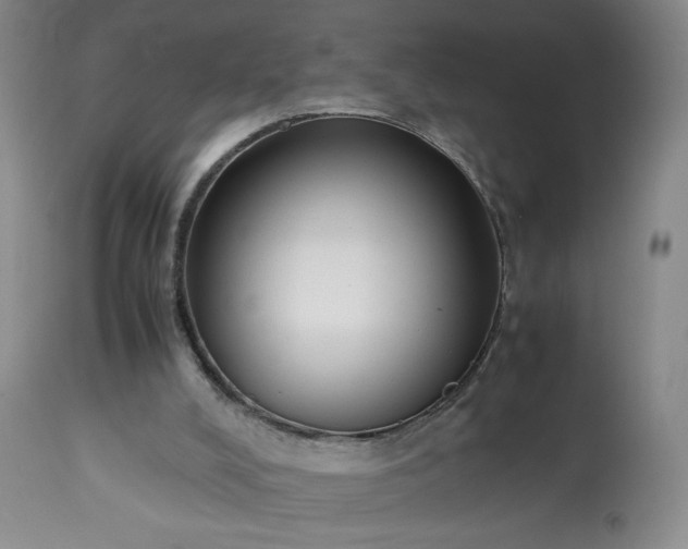 X0000113220008200909241458