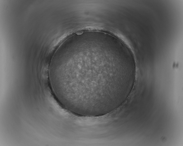 X0000113220009200909241458