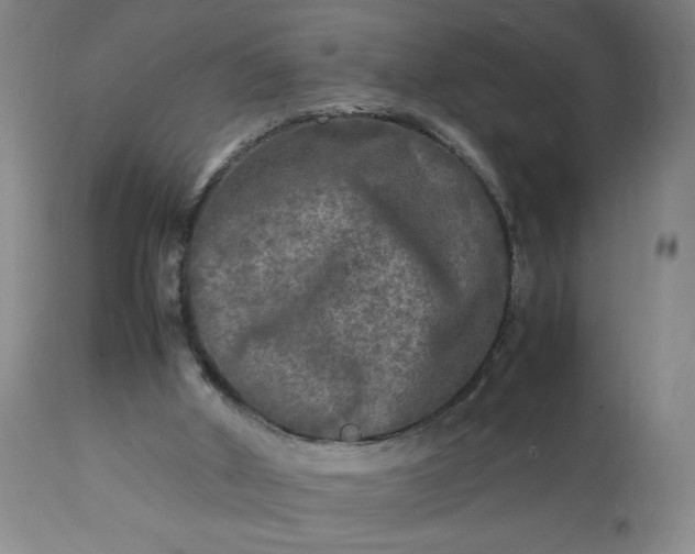 X0000113220010200909241458