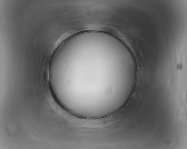 X0000113220011200909241458