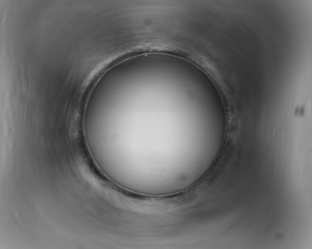 X0000113220012200909241458