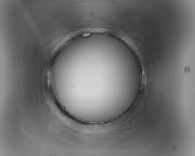 X0000113220013200909241458