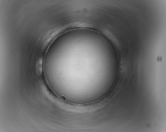 X0000113220014200909241458