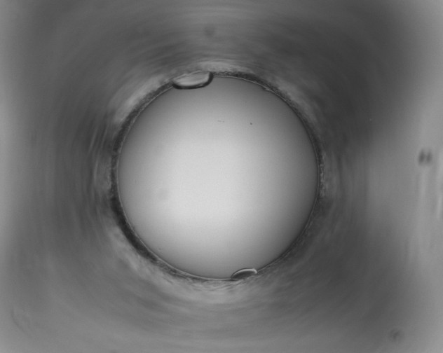 X0000113220015200909241458