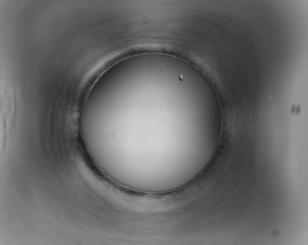 X0000113220016200909241458