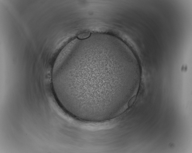 X0000113220017200909241458