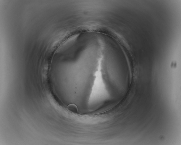 X0000113220018200909241458