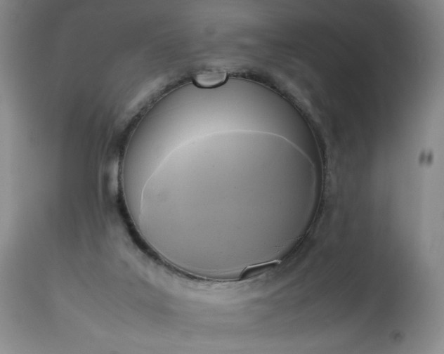 X0000113220019200909241458