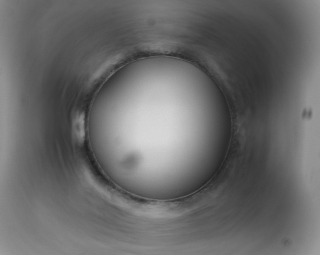 X0000113220020200909241458