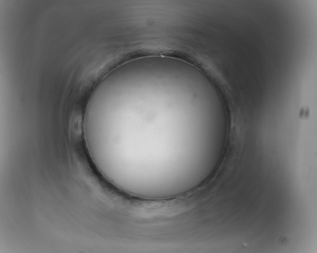 X0000113220021200909241458