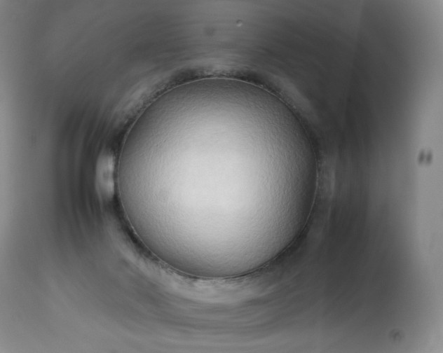 X0000113220022200909241458