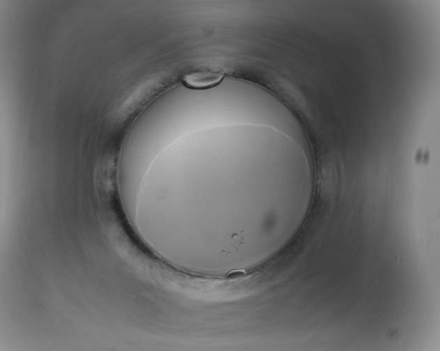 X0000113220023200909241458