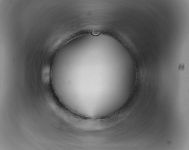 X0000113220024200909241458