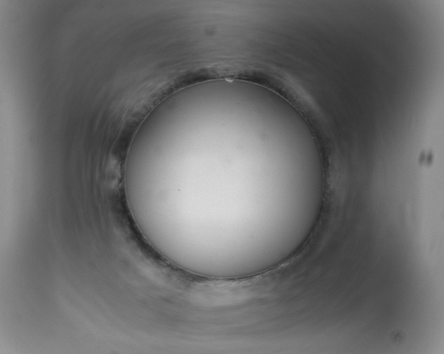 X0000113220025200909241458