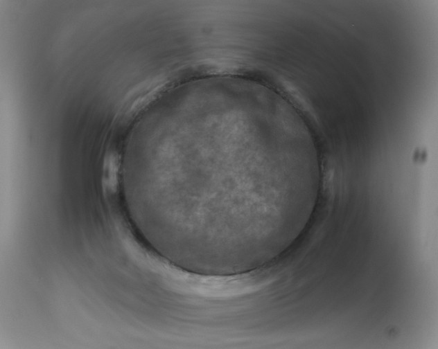 X0000113220026200909241458