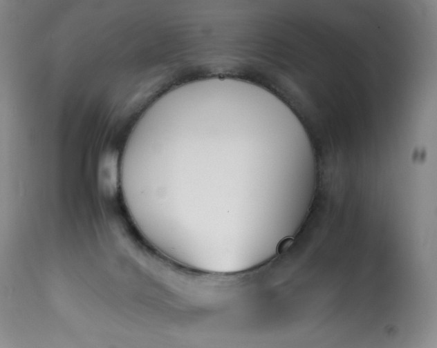 X0000113220028200909241458