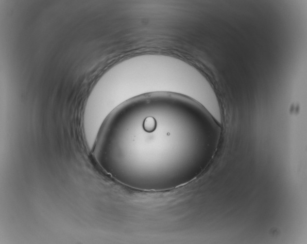 X0000113220029200909241458