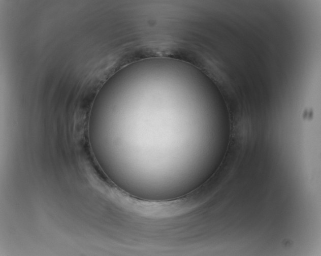 X0000113220030200909241458