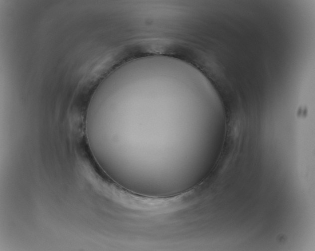 X0000113220031200909241458