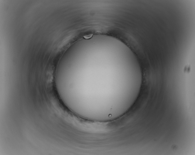 X0000113220032200909241458