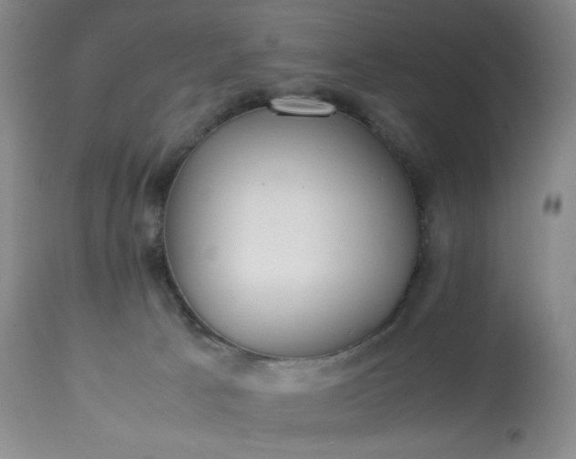 X0000113220033200909241458