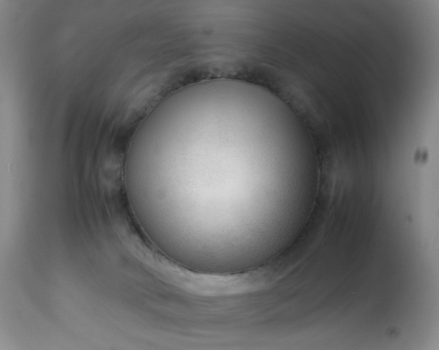 X0000113220034200909241458