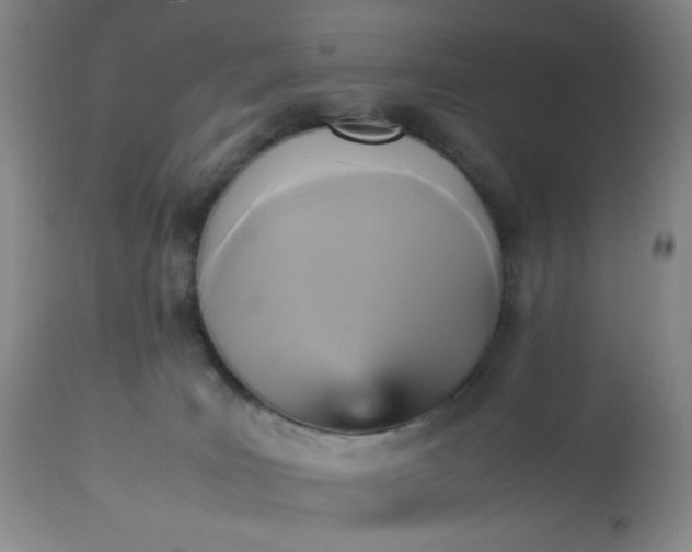 X0000113220035200909241458