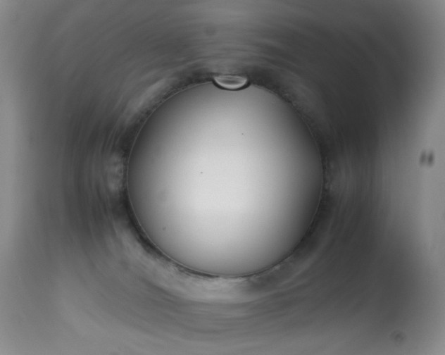 X0000113220036200909241458