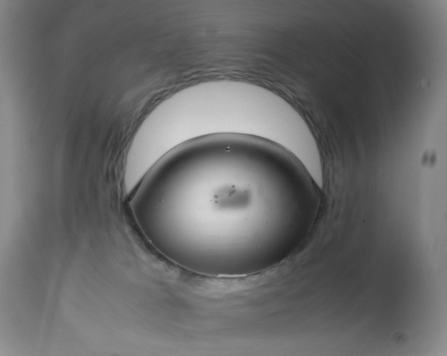 X0000113220037200909241458