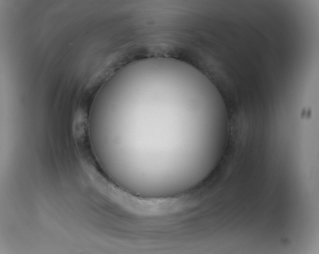 X0000113220038200909241458