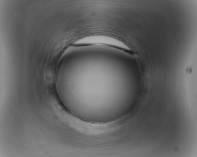 X0000113220039200909241458