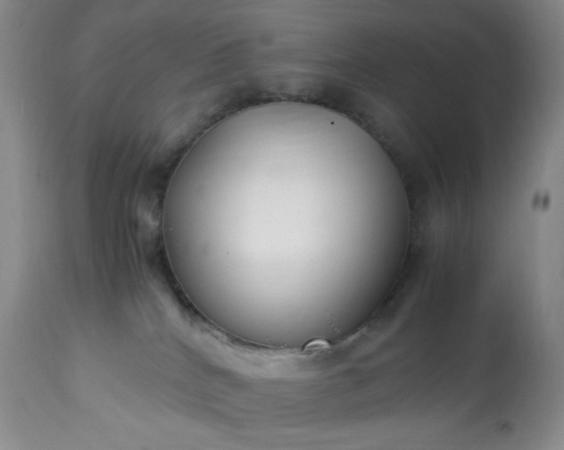 X0000113220040200909241458