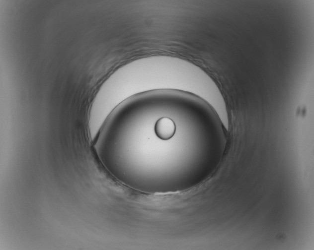 X0000113220041200909241458