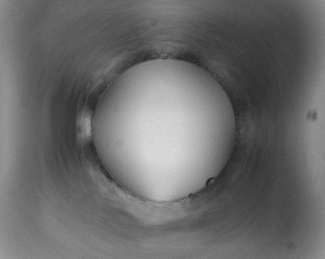 X0000113220042200909241458