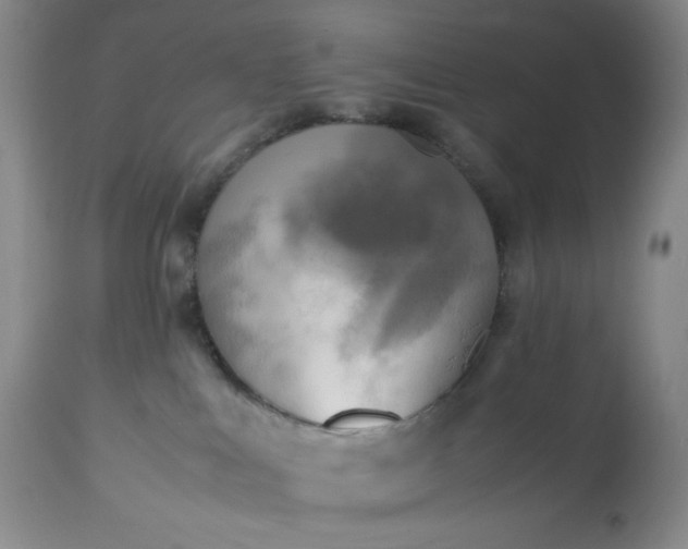 X0000113220043200909241458