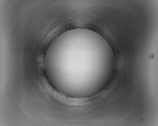 X0000113220044200909241458