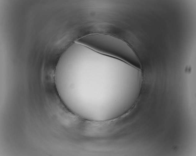 X0000113220045200909241458