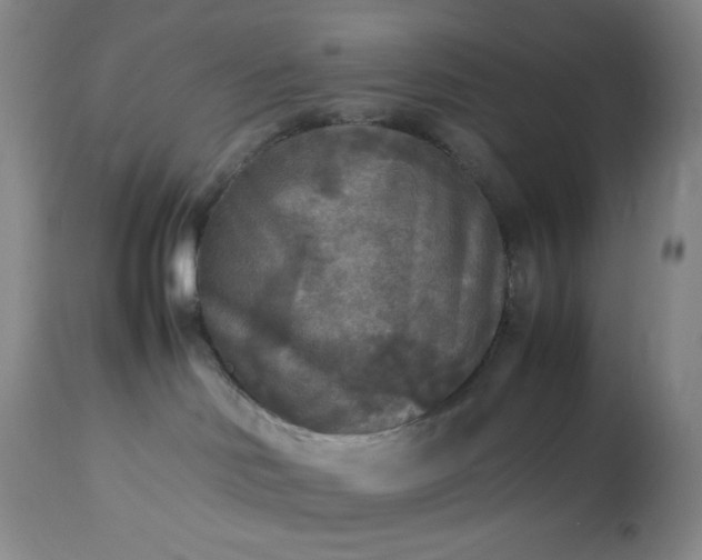 X0000113220046200909241458