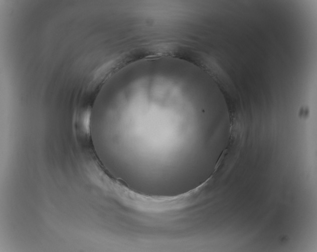 X0000113220047200909241458