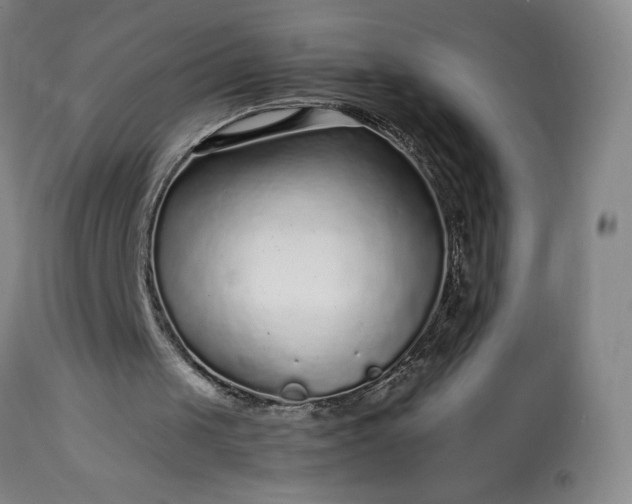 X0000113220049200909241457