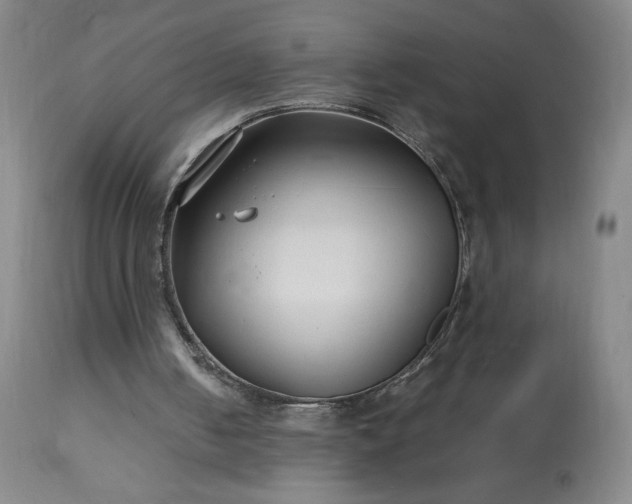 X0000113220050200909241457